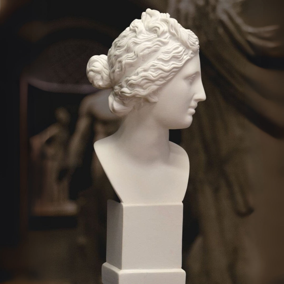 Neoclassical Bust Venus de Medici | Elegant Marble Resin Sculpture