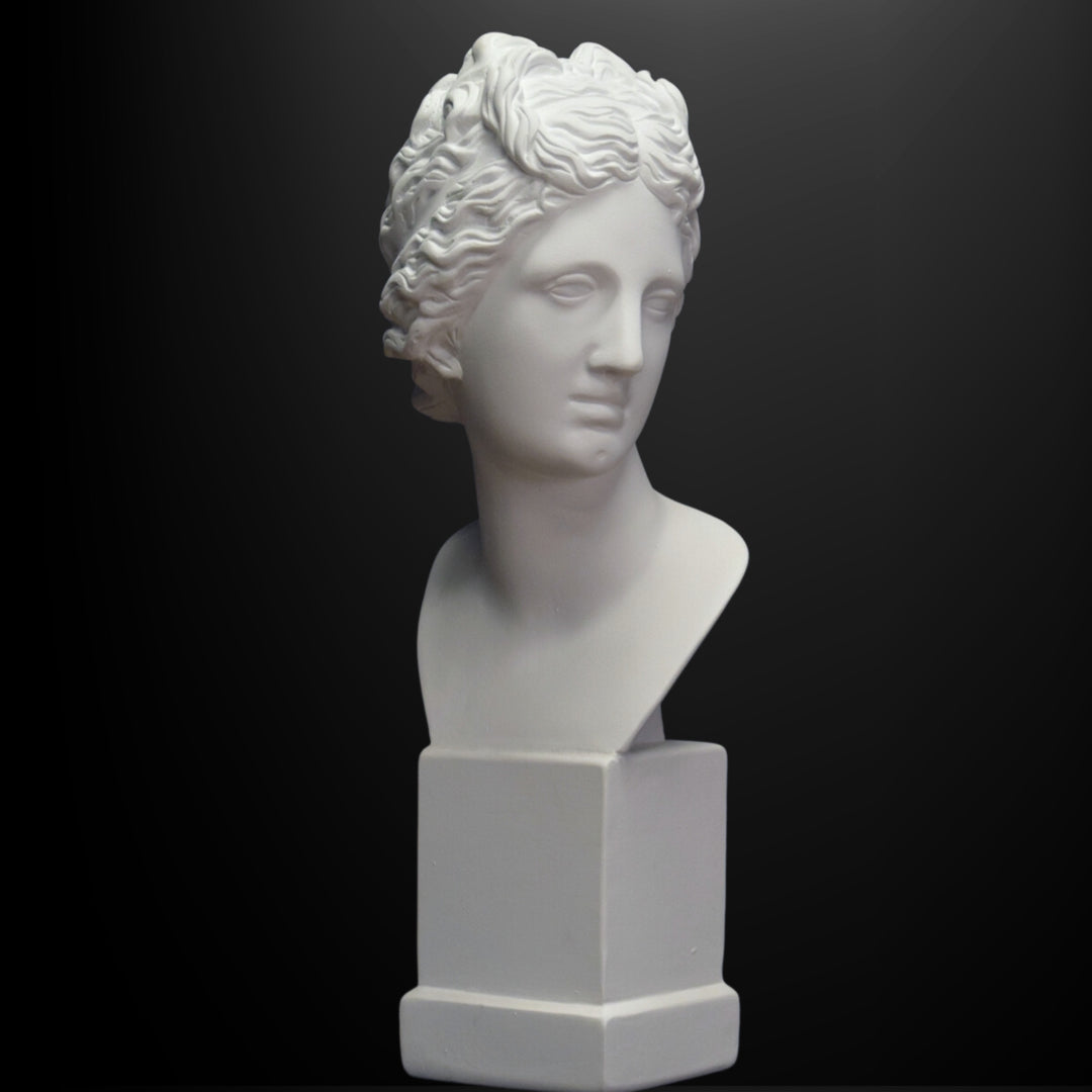 Objects & Accessories - Neoclassical Bust, Venus De Medici